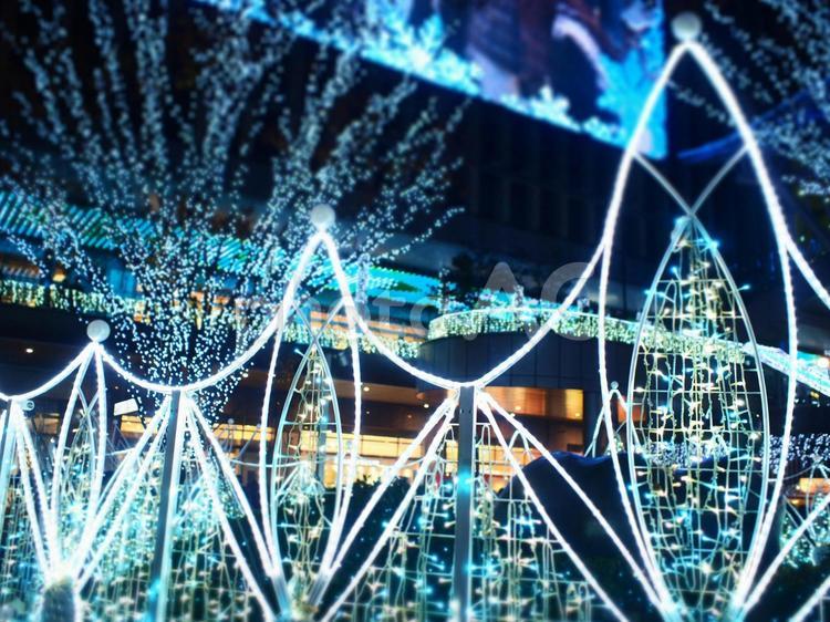 博多駅のクリスマスマーケットのイルミネーション クリスマス,イルミネーション,博多駅の写真素材