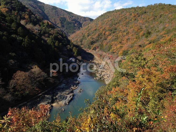 紅葉した秋の山の風景 明るい,樹木,文化の写真素材