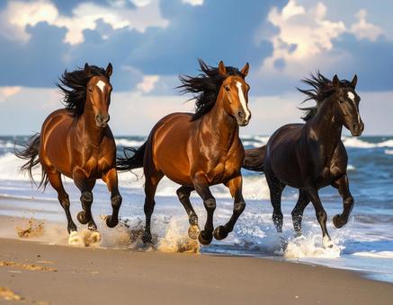 野生の馬 野生の馬の写真