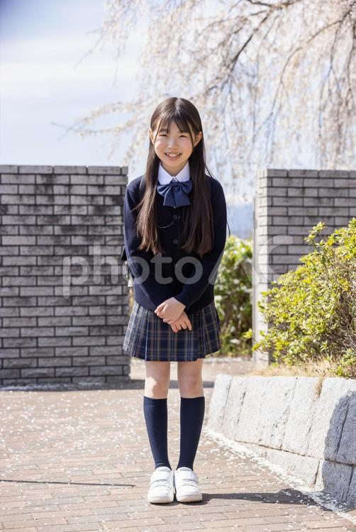 桜と笑顔の学生 女子学生,学生,制服の写真素材