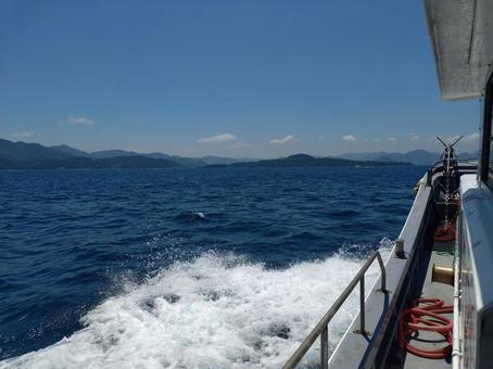 漁船 漁船 海,波,自然の写真素材