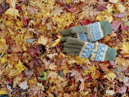 冬の屋外の手袋② 自然,手袋,カラフルの写真素材