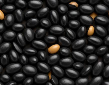 黒豆に混ざる黄豆 黒豆に混ざる黄豆の写真