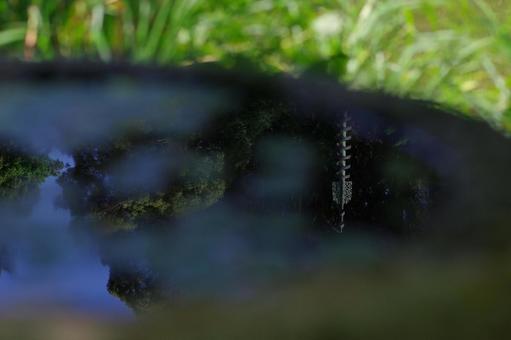 水鉢 相輪 水煙 水鏡 寺 水鉢 相輪 水煙 水鏡 寺の写真