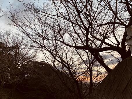 寒ざむ 寒ざむの写真