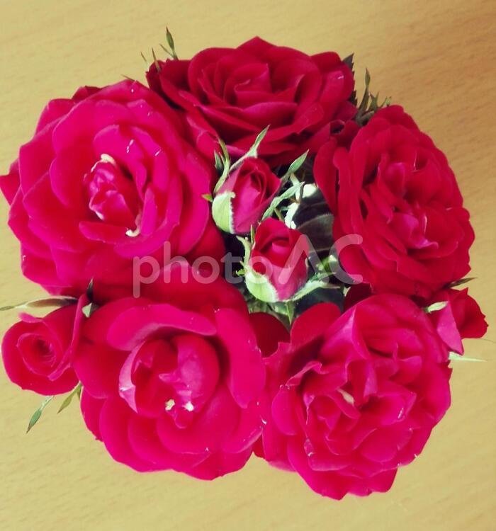 バラの花束 つぼみ,オーナメント（アート）,バラの写真素材