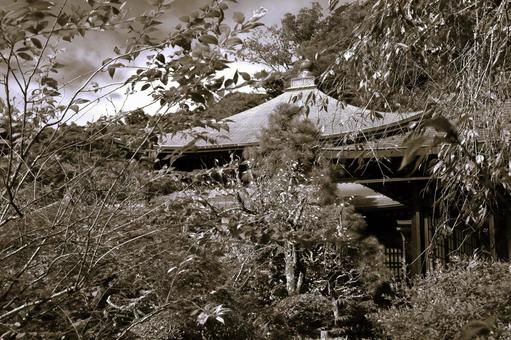 瑞泉寺ー鎌倉ー神奈川県 瑞泉寺ー鎌倉ー神奈川県の写真