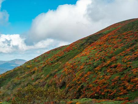 紅葉の秋田駒ケ岳の写真