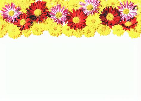 鮮やかな花のフレーム 花,フレーム,フラワーの写真素材