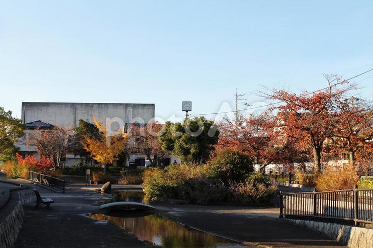 公園の色とりどりの紅葉 2 葉,自然,11月の写真素材