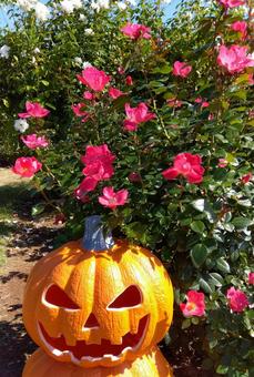 ハッピーハロウィン ハッピーハロウィン ジャックオーランタン,ハロウィーン,かぼちゃの写真素材