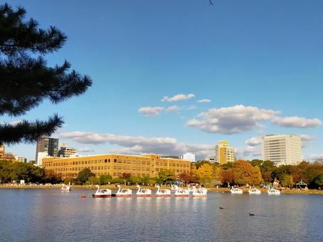 公園 福岡,秋,公園の写真素材
