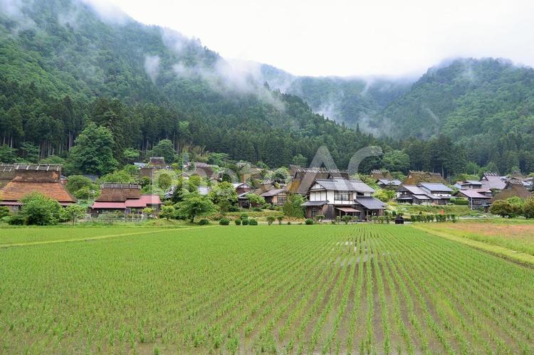かやぶきの里 茅葺,かやぶき,美山町の写真素材