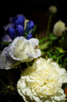 白い花と青い花　縦 花,青い,青い花の写真素材