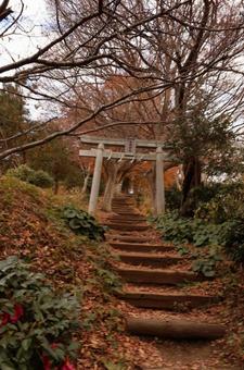 神社の鳥居 神社の鳥居 冬,冬景色,木の写真素材