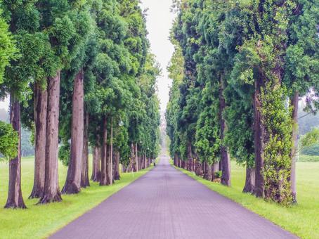 【北海道】北斗市・トラピスト大修道院 【北海道】北斗市・トラピスト大修道院の写真