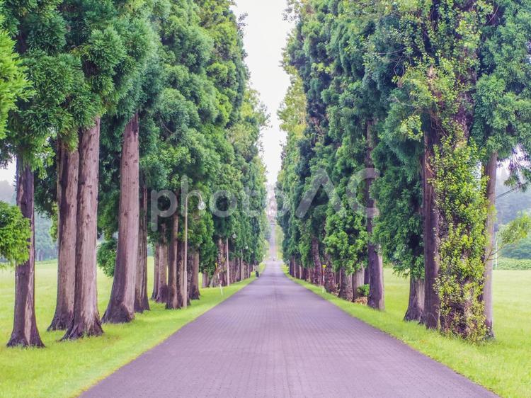 【北海道】北斗市・トラピスト大修道院 トラピスト大修道院,北斗市,キリスト教の写真素材