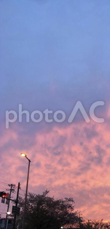 街から見る何気ない空 自然,晴れ,空の写真素材