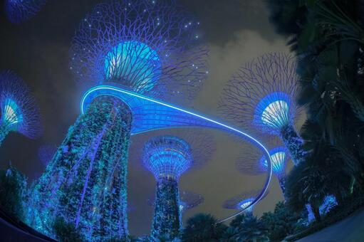 光に包まれる庭園 夜景,青色,イルミネーションの写真素材