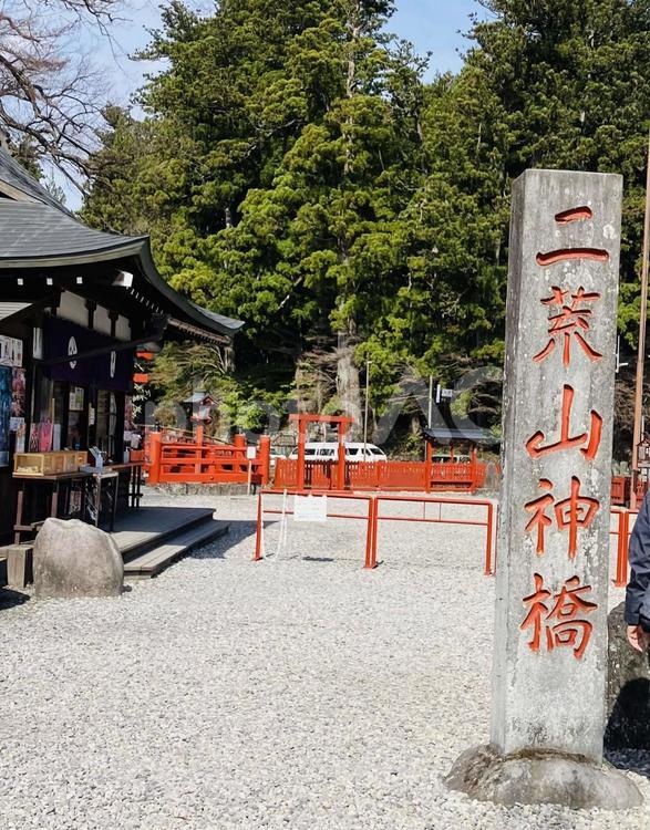 日光東照宮　神橋　石柱 日光東照宮,日光山輪王寺,日光二荒山神社の写真素材