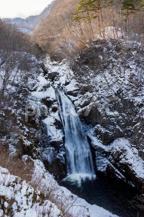真冬の秋保大滝⒆ 冬,雪,氷の写真素材