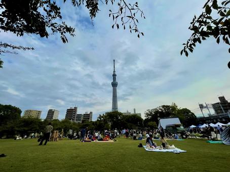 公園でピクニックとスカイツリー 公園でピクニックとスカイツリー スカイツリー,東京,公園の写真素材