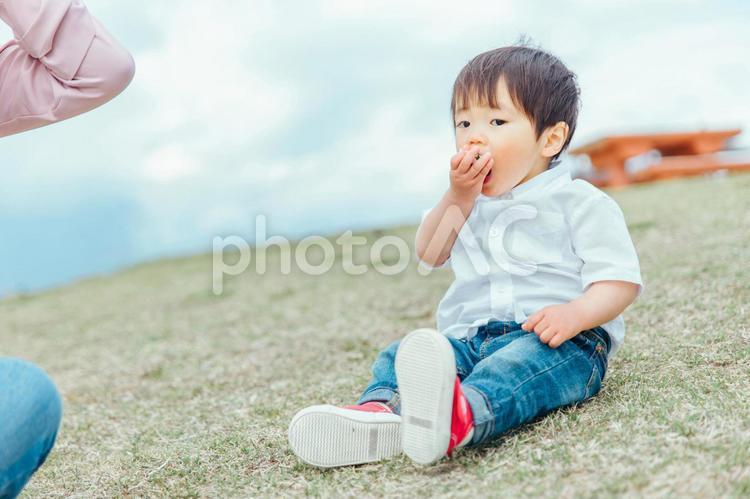 公園でご飯を食べる親子 ピクニック,親子,食べるの写真素材