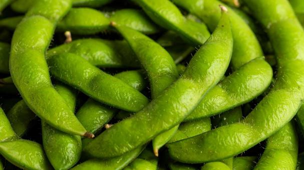 枝豆 たくさん2の写真