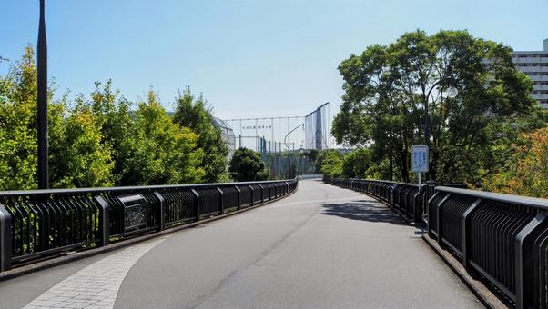 秋晴れの葛西かもめ橋（東京都・江戸川区）の写真