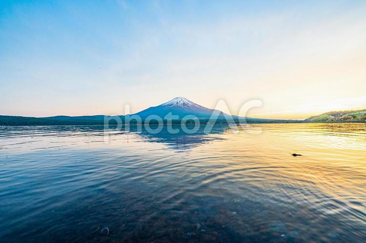 山中湖と富士山(その１１) 山中湖,富士山,水面の写真素材