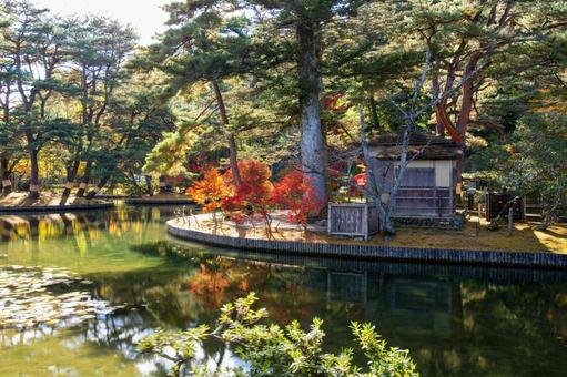 秋の有備館⑼ 秋,紅葉,モミジの写真素材