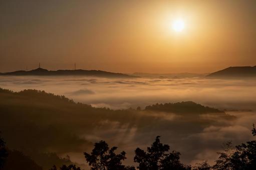 雲海 雲海,風景,朝の写真素材