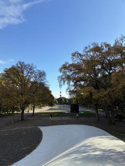 紅葉の10月下旬札幌大通公園西9丁目 紅葉の10月下旬札幌大通公園西9丁目 大通公園,公園,札幌の写真素材