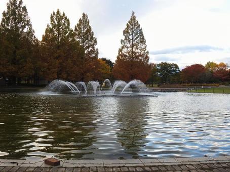 七北田公園の噴水（泉ヶ池） 七北田公園,池,噴水の写真素材