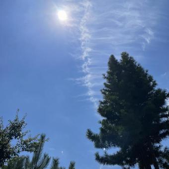 夏の巻雲の写真