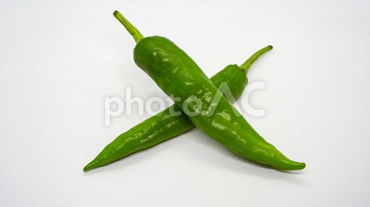 青唐辛子（ししとう） 青唐辛子,ししとう,野菜の写真素材