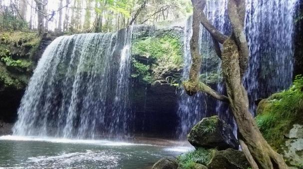 滝 滝,滝しぶき,鍋ヶ滝の写真素材