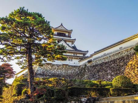 【高知県】高知市・高知城 高知城,高知公園,天守閣の写真素材