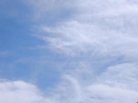 【空の写真】夏空 【空の写真】夏空の写真