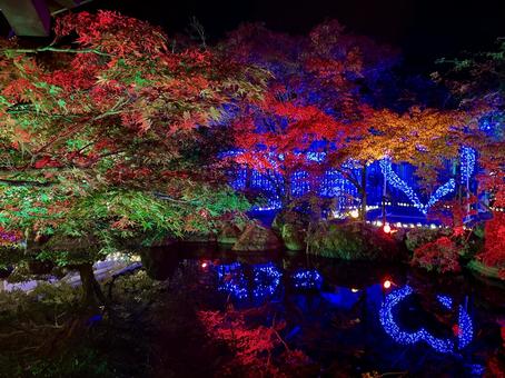 越前陶芸村　陶あかり　福井県陶芸館 福井県陶芸館,幽石庭,灯火の写真素材