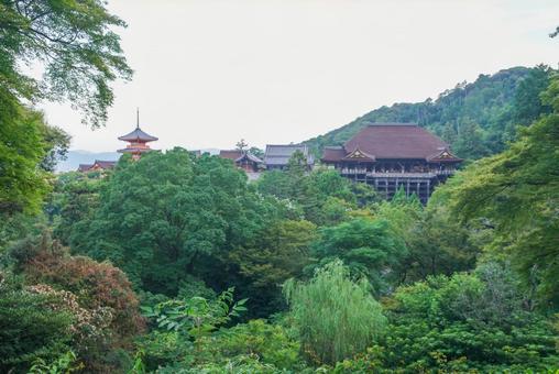 清水寺の朝 清水寺の朝の写真