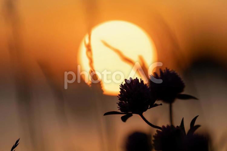 幻想的な夕暮れ 夕日,幻想的,照るの写真素材