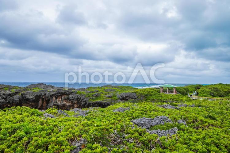沖縄県・宮古島　通り池 沖縄,通り池,宮古島の写真素材