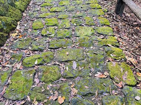 古道 苔 石段 古道 苔 石段の写真