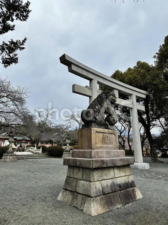 富士山本宮浅間大社　富士山　冬　小雨 浅間神社の総本宮,富士山信仰,静岡県富士宮市宮町1ー1の写真素材