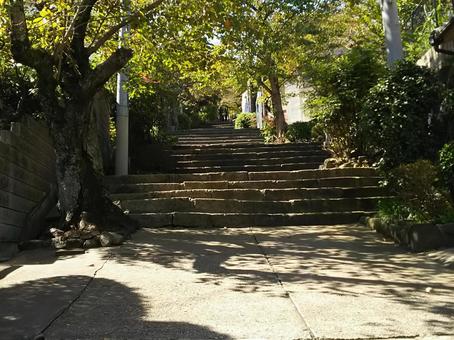 生駒山の階段 参道,階段,観光客の写真素材