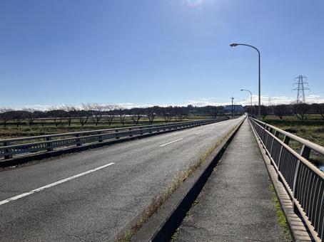 嵐山渓谷の桜並木（秋） 嵐山渓谷,嵐山,渓谷の写真素材