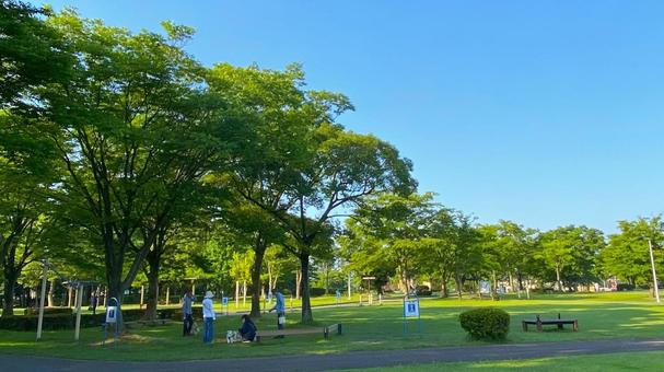 朝の北部公園(金沢市):1 朝の北部公園(金沢市):1 公園,春,夏の写真素材
