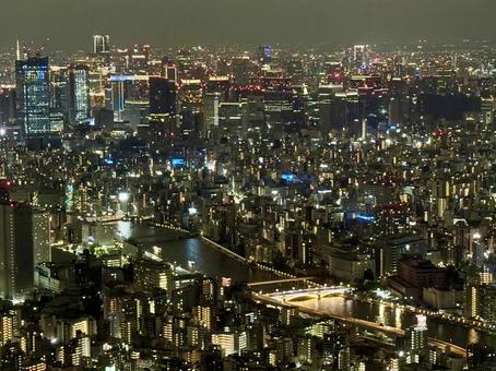 スカイツリーから見た東京の夜景 スカイツリーから見た東京の夜景の写真