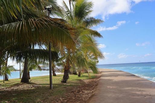 Hawaii  Hawaii  ハワイ,hawaii,ハワイ旅行の写真素材